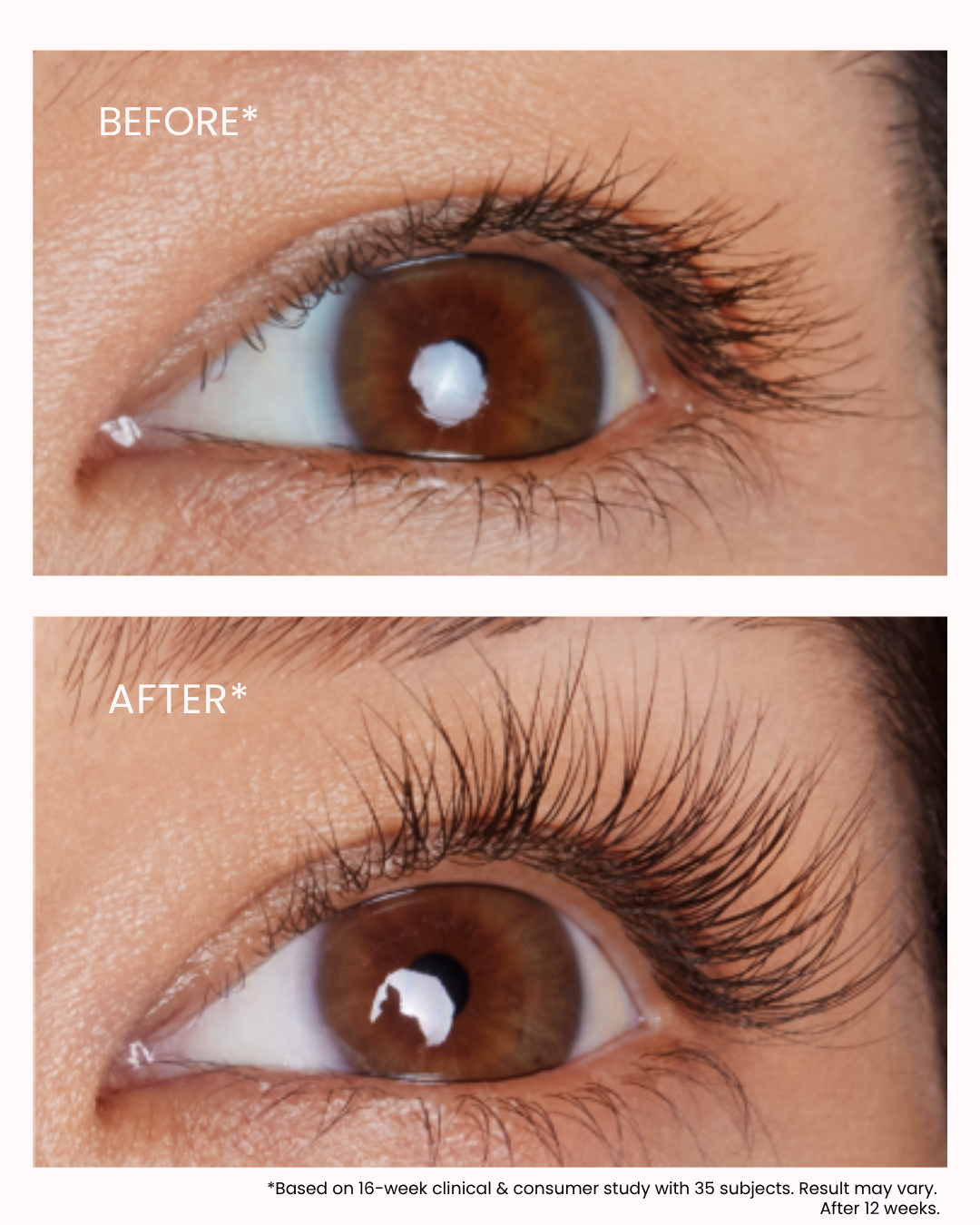 Essential Lash Serum