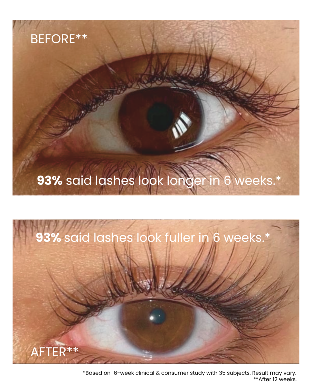 Essential Lash Serum