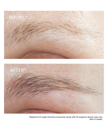 Essential Brow Serum